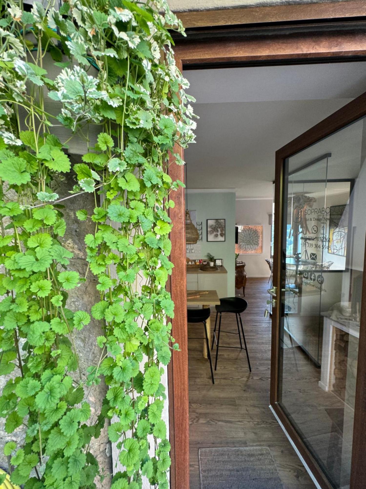 Soprabosco Calcata Art & Design Apartment Экстерьер фото